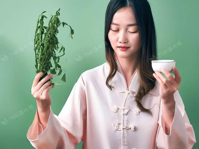 中国养生茶叶行业的现状如何